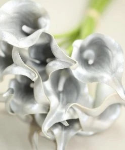 HIER_1400 10 Stems | 14