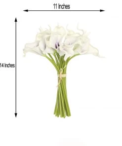 HIER_1400 20 Stems | 14