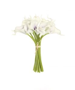 HIER_1400 20 Stems | 14