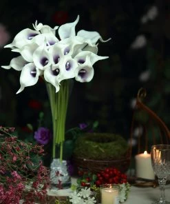 HIER_1400 20 Stems | 14