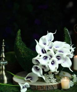 HIER_1400 20 Stems | 14