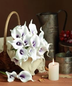 HIER_1400 20 Stems | 14