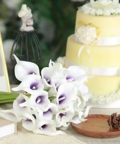 HIER_1400 20 Stems | 14