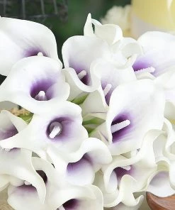 HIER_1400 20 Stems | 14