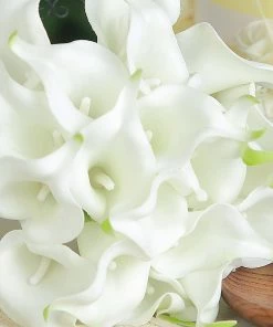 HIER_1400 20 Stems | 14