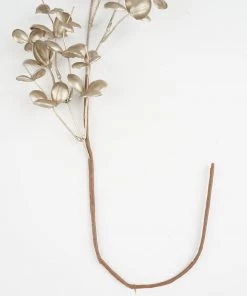 HIER_5120 2 Stems | 32