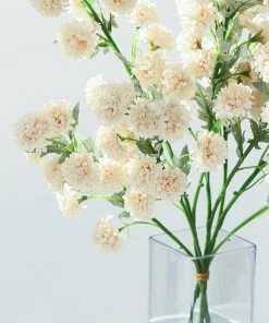 HIER_1140 2 Bushes | 33