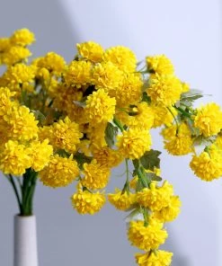 HIER_1140 2 Bushes | 33