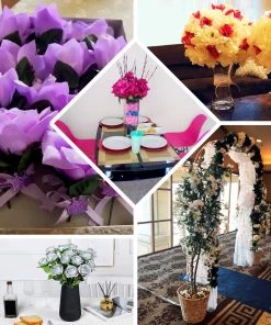 HIER_1100 24 Bushes | 13