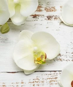 HIER_1150 20 Flower Heads | 4" Cream Artificial Silk Orchids DIY Crafts Chargers & Centerpieces