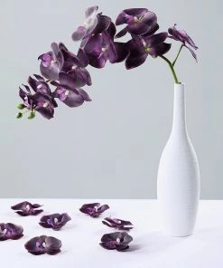 HIER_1150 20 Flower Heads | 4