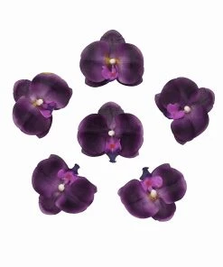 HIER_1150 20 Flower Heads | 4