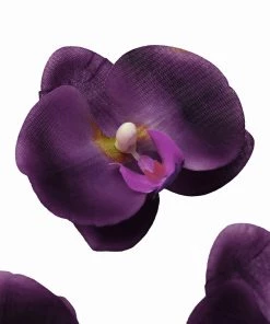 HIER_1150 20 Flower Heads | 4