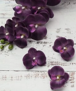 HIER_1150 20 Flower Heads | 4