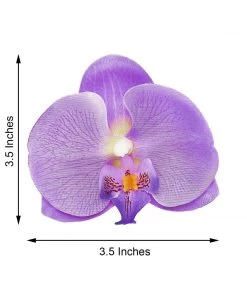 HIER_1150 20 Flower Heads | 4