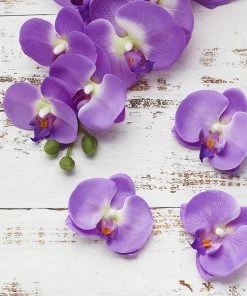 HIER_1150 20 Flower Heads | 4