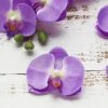 HIER_1150 20 Flower Heads | 4" Lavender Artificial Silk Orchids DIY Crafts