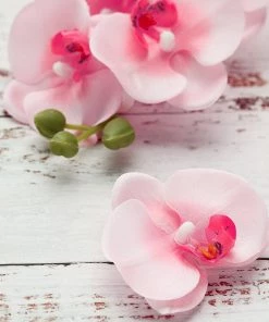 HIER_1150 20 Flower Heads | 4" Pink Artificial Silk Orchids DIY Crafts
