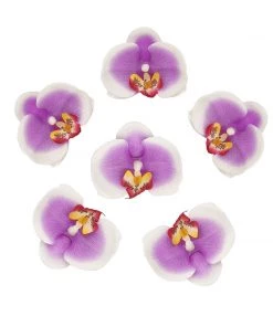 HIER_1150 20 Flower Heads | 4