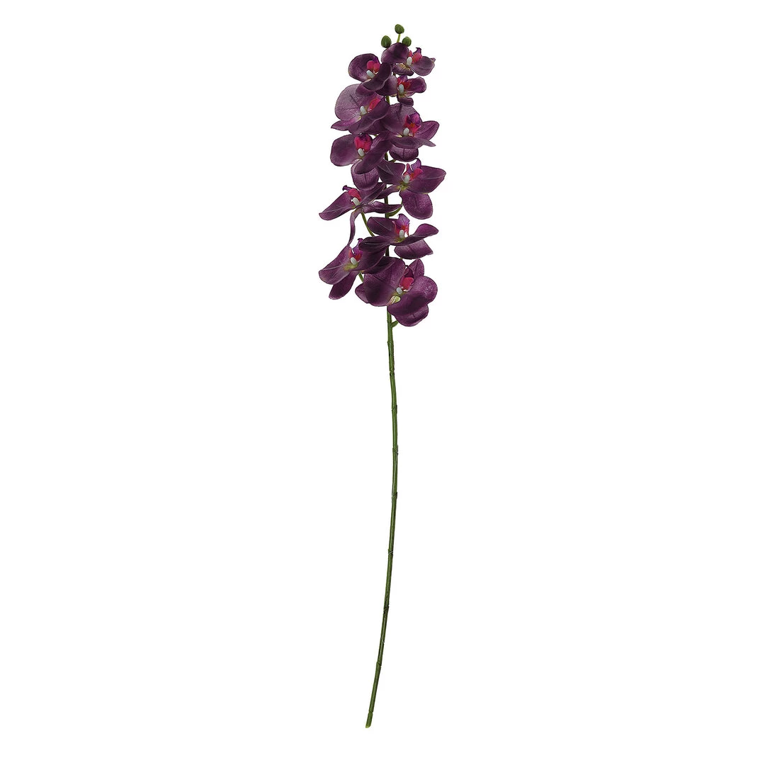 HIER_1150 Faux Tulips & Others 2 Stems | 40" Tall Eggplant Artificial Silk Orchid Flower Bouquets 13 HIER_1150 Faux Tulips & Others 2 Stems | 40" Tall Eggplant Artificial Silk Orchid Flower Bouquets