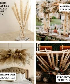 HIER_1400 6 Stems | 49