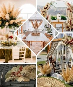 HIER_1400 6 Stems | 49