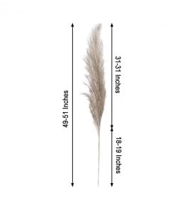 HIER_1400 6 Stems | 49