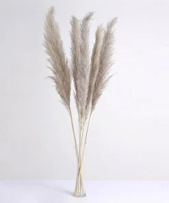 HIER_1400 6 Stems | 49