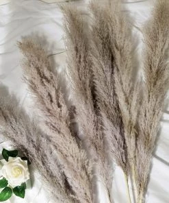 HIER_1400 6 Stems | 49