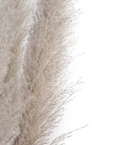 HIER_1400 6 Stems | 49