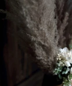 HIER_1400 6 Stems | 49