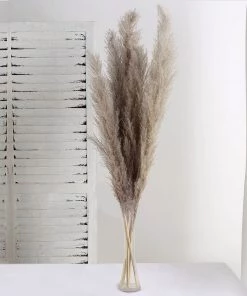 HIER_1400 6 Stems | 49