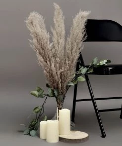 HIER_1400 6 Stems | 49