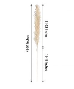 HIER_1400 6 Stems | 49
