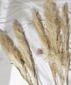 HIER_1400 6 Stems | 49