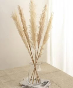 HIER_1400 6 Stems | 49" Wheat Tint Dried Natural Pampas Grass Plant Sprays