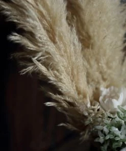 HIER_1400 6 Stems | 49