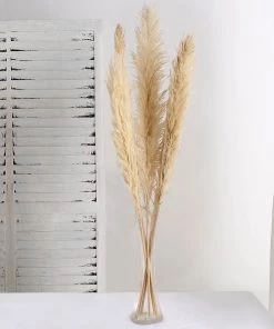 HIER_1400 6 Stems | 49