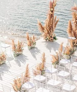 HIER_1400 6 Stems | 49