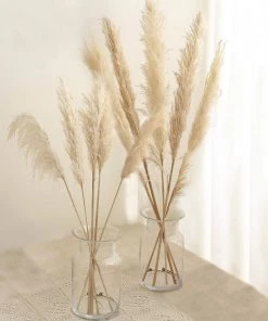 HIER_1400 6 Stems | 49