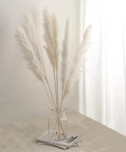 HIER_1400 6 Stems | 49" Off White Dried Natural Pampas Grass Plant Sprays