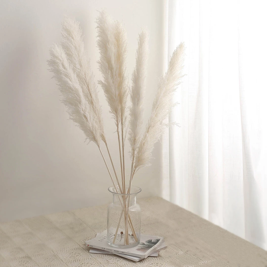 HIER_1400 6 Stems | 49" Off White Dried Natural Pampas Grass Plant Sprays 1 HIER_1400 6 Stems | 49" Off White Dried Natural Pampas Grass Plant Sprays