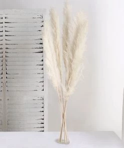 HIER_1400 6 Stems | 49" Off White Dried Natural Pampas Grass Plant Sprays 30 HIER_1400 6 Stems | 49