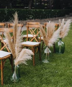 HIER_1400 6 Stems | 49" Off White Dried Natural Pampas Grass Plant Sprays 34 HIER_1400 6 Stems | 49