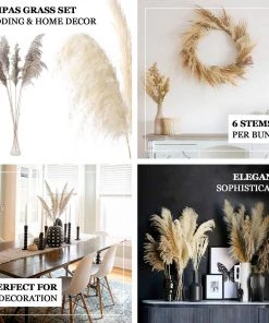 HIER_1400 Chargers & Centerpieces 6 Stems | 32