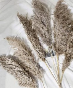 HIER_1400 Chargers & Centerpieces 6 Stems | 32