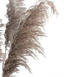 HIER_1400 Chargers & Centerpieces 6 Stems | 32