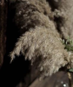 HIER_1400 Chargers & Centerpieces 6 Stems | 32