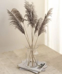 HIER_1400 Chargers & Centerpieces 6 Stems | 32
