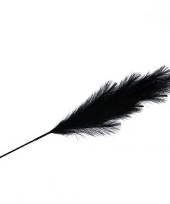 HIER_1400 3 Stems | 44